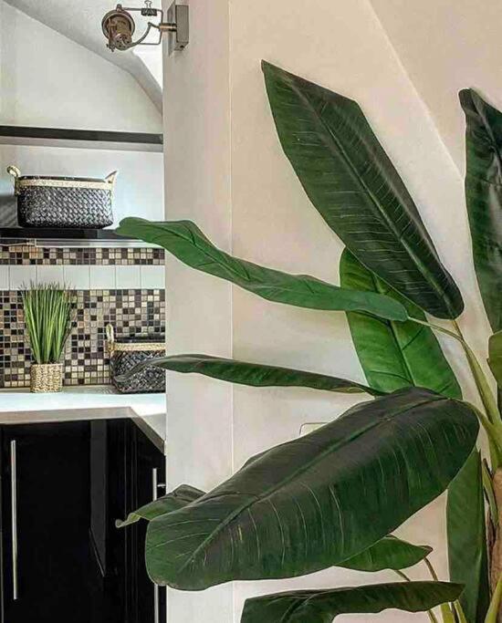 Da Fede E Tamy : Un'incantevole Mansarda! Apartamento Milão