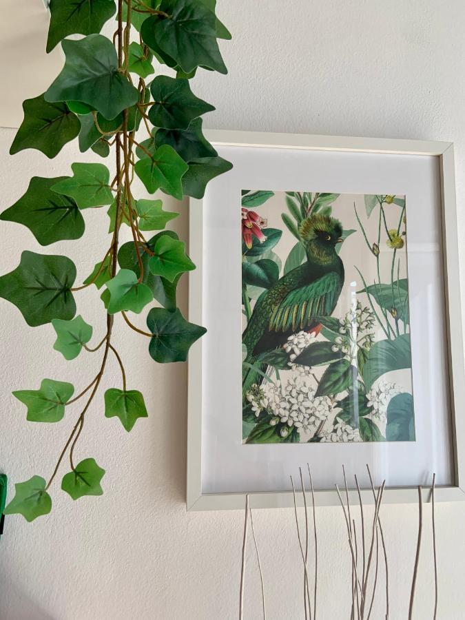 Apartment Cozy Tortona Navigli Mailand
