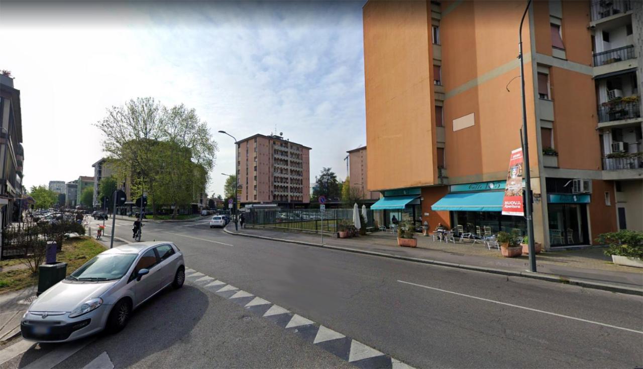 Sansirofiera *
