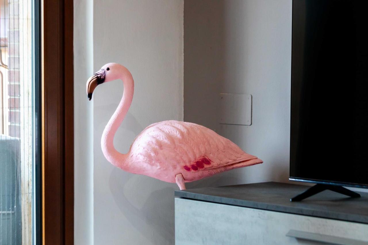 Flamingo House