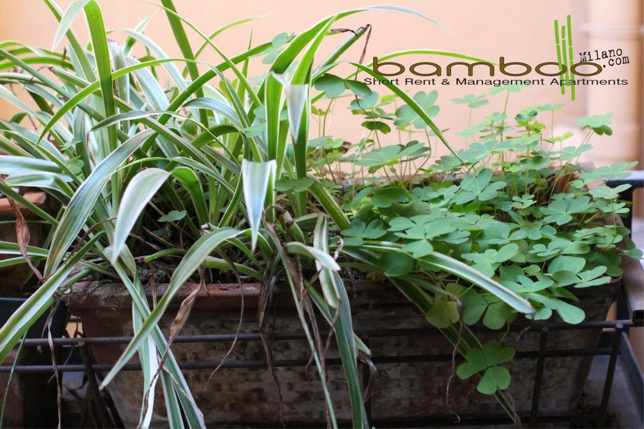 Apartment Bamboo Brera Mailand