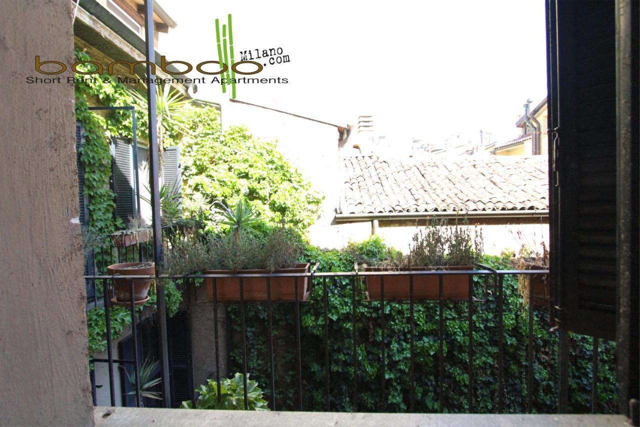 Bamboo Brera *