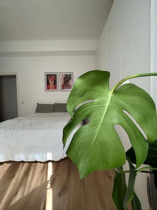 In-experience City Apartment *