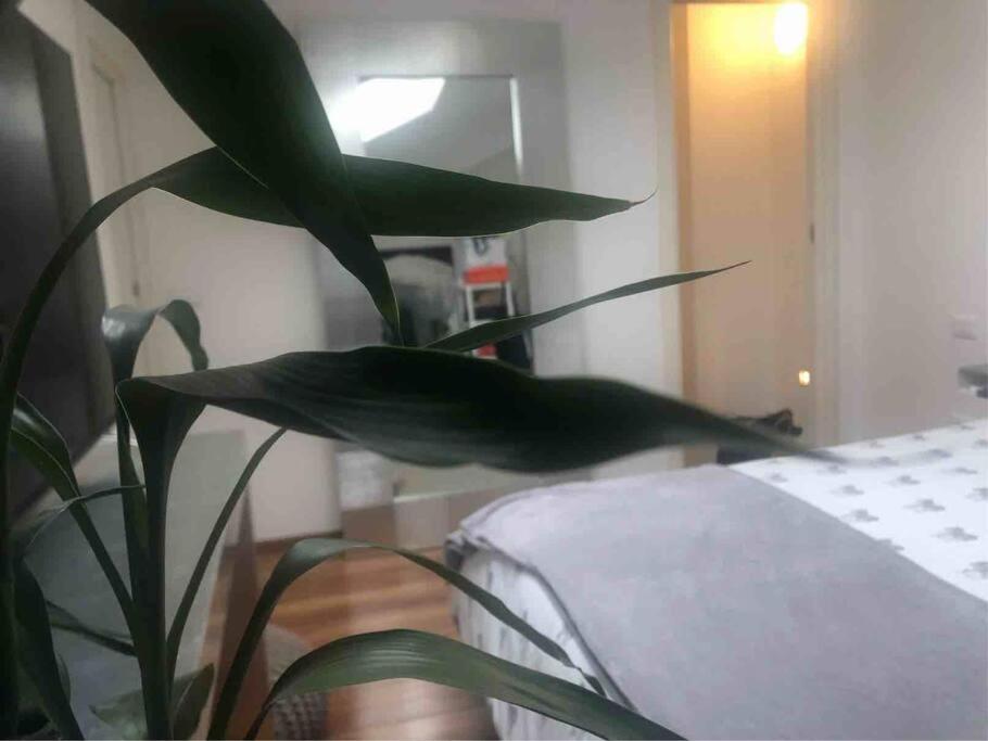 Loft Polimi
