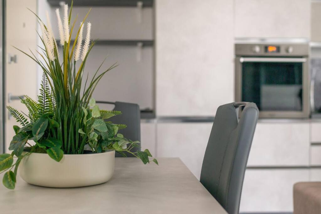 Apartment We - Uptown74 Bloom - *