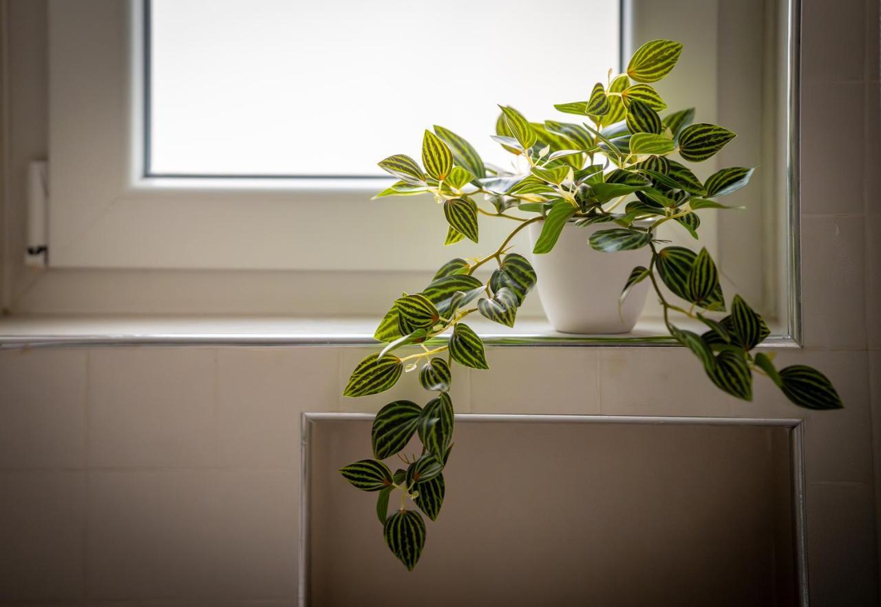 Apartamento Gaia's Place