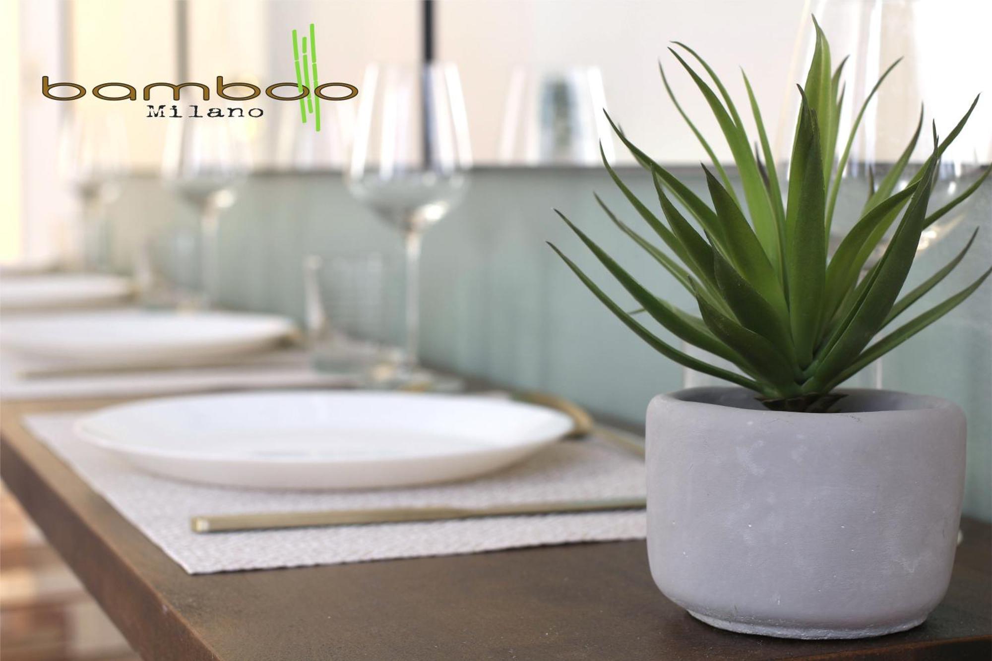 Bamboo Unione Class