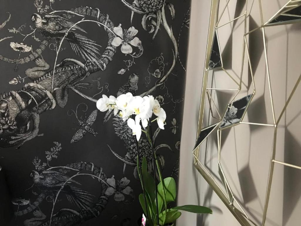 Lippi 42 Single Room's In With Garden * Mailand
