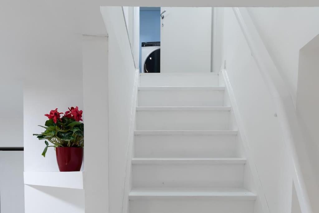 Apartment Three-suite With Free Netflix And Fast Wifi *