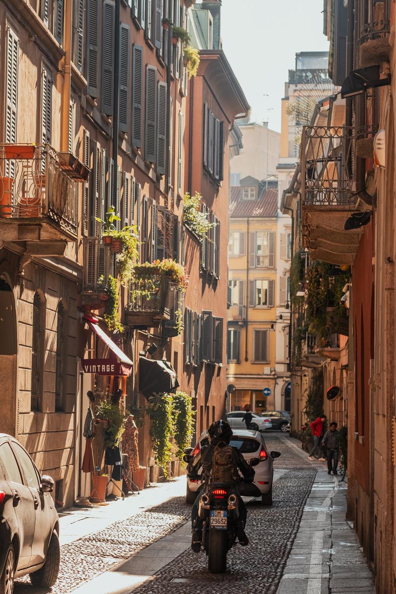 Max Brown Missori, Part Of Sircle Collection Milan