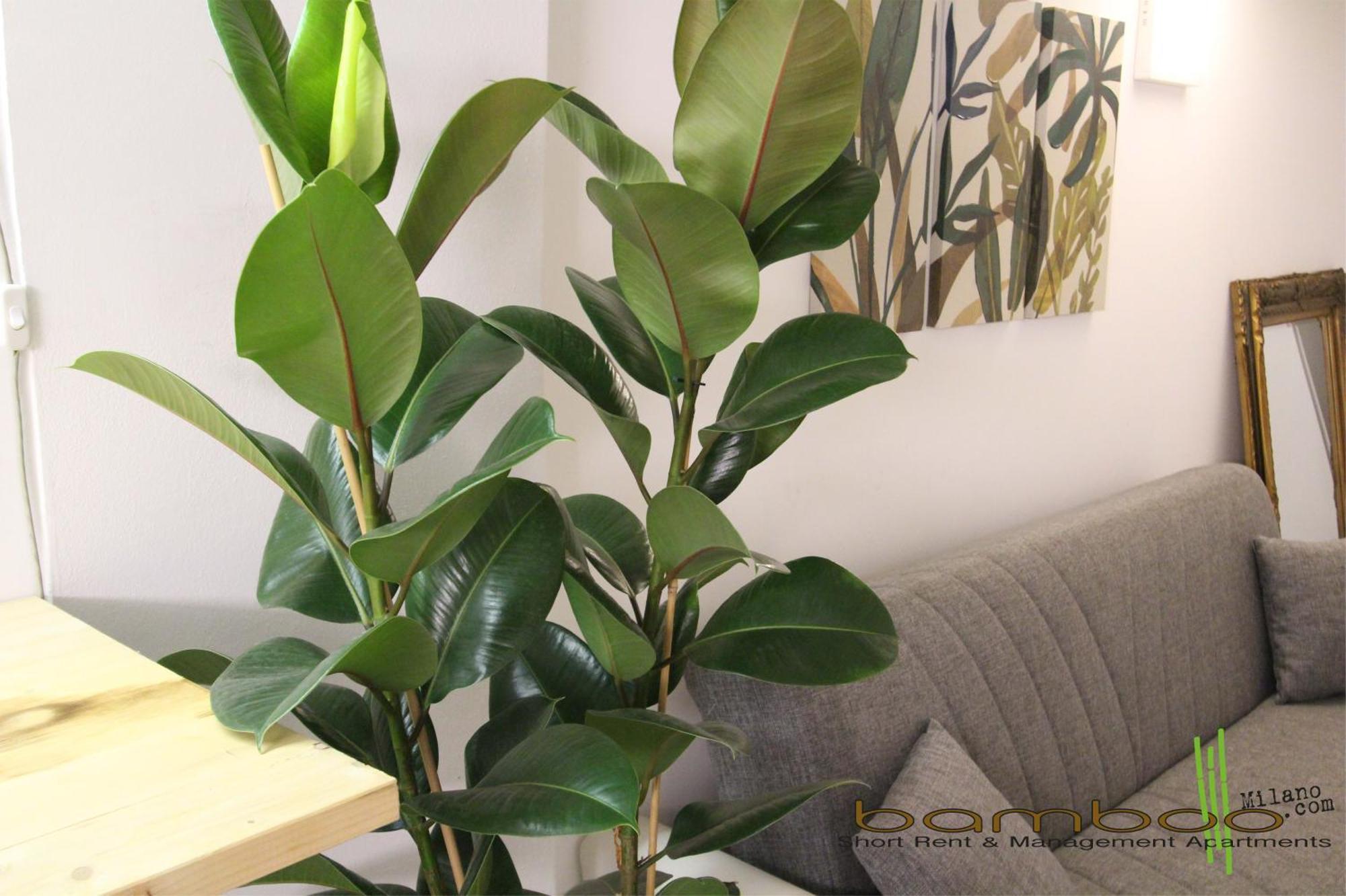 Bamboo Pastorelli Apartment Mailand