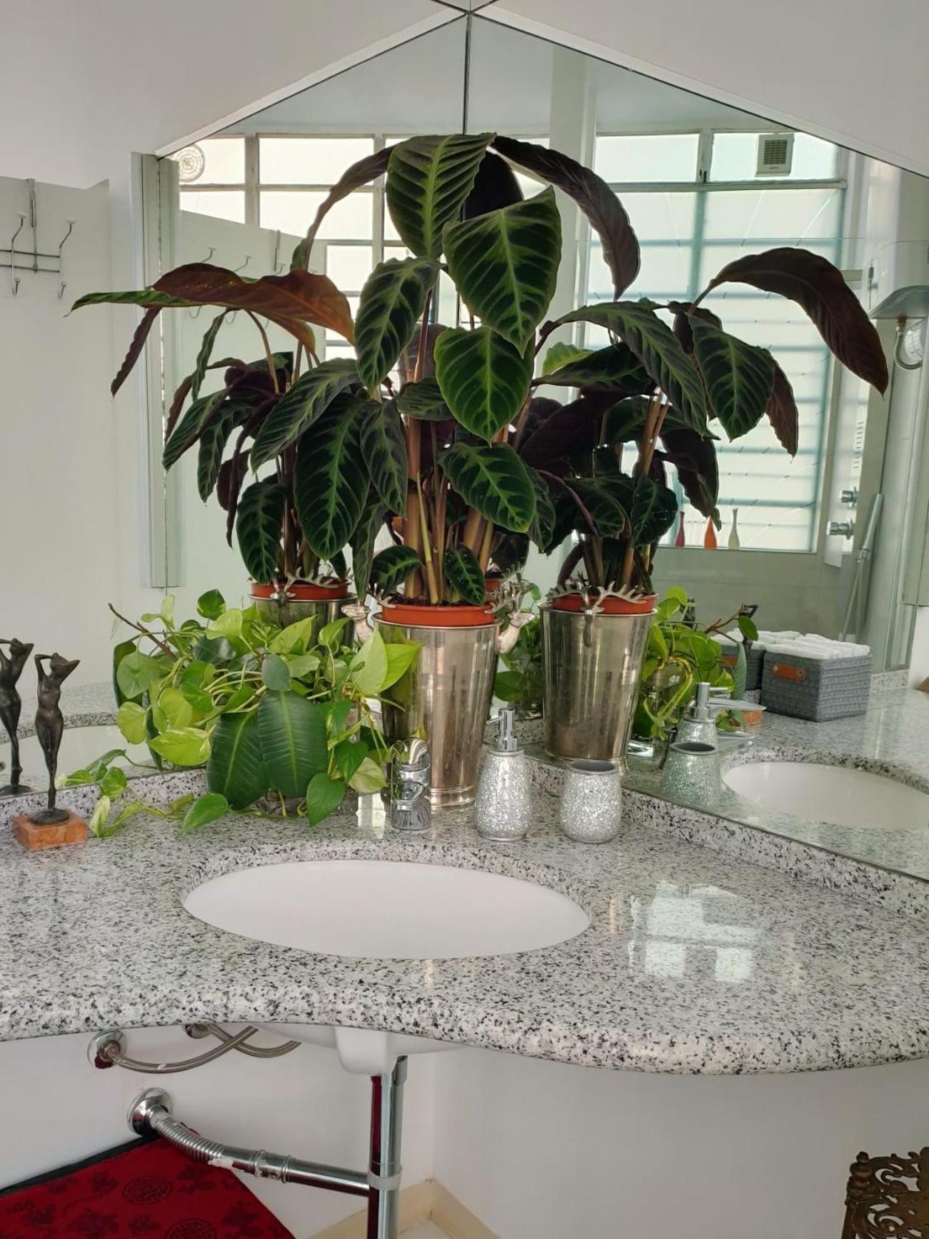 Bed & Breakfast My Place - Navigli Milan