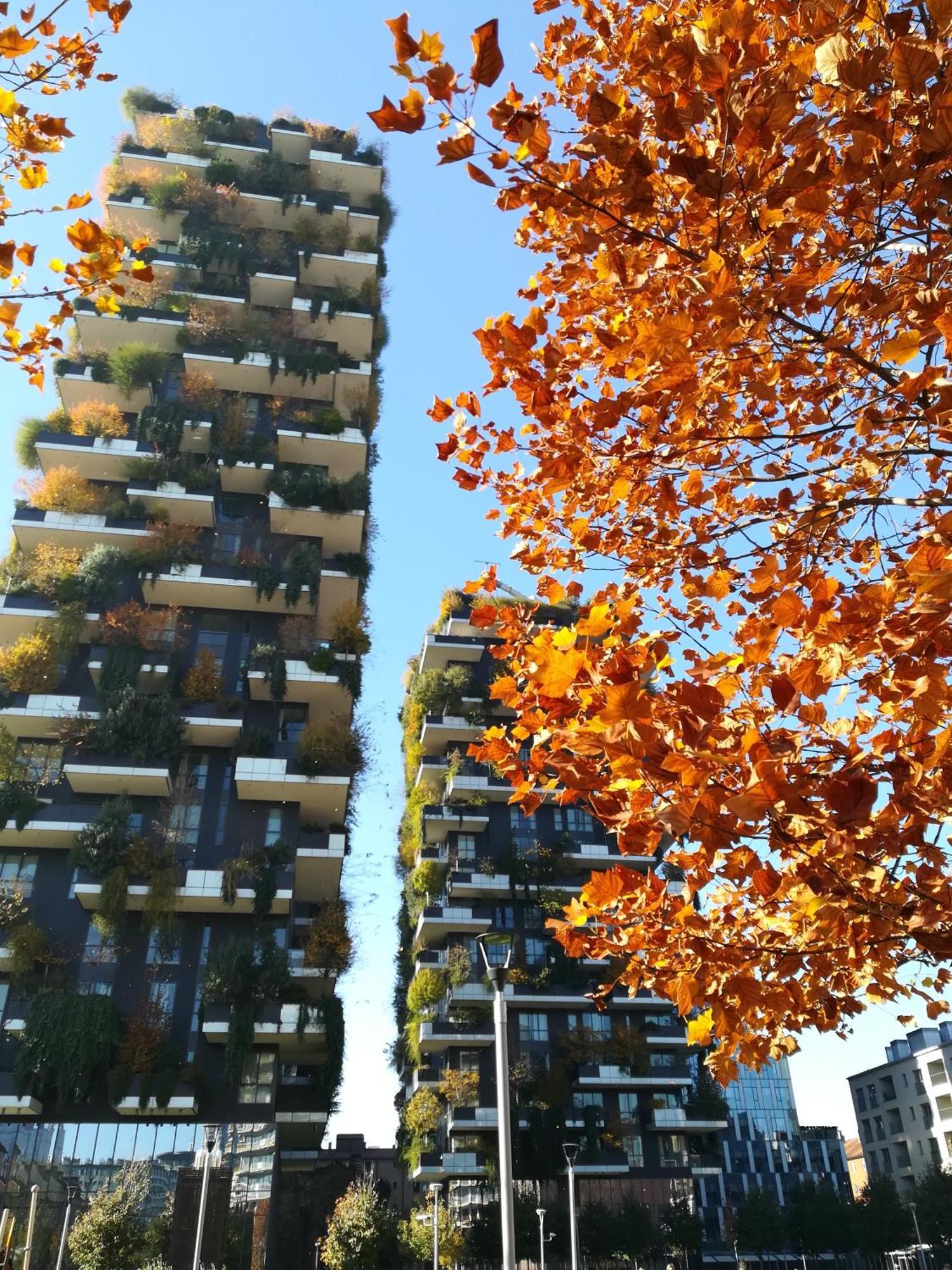 Apartment Ourjoy Condo, Free Parking, Ac, Wifi - M Gioia47, Station, Porta Nuova,