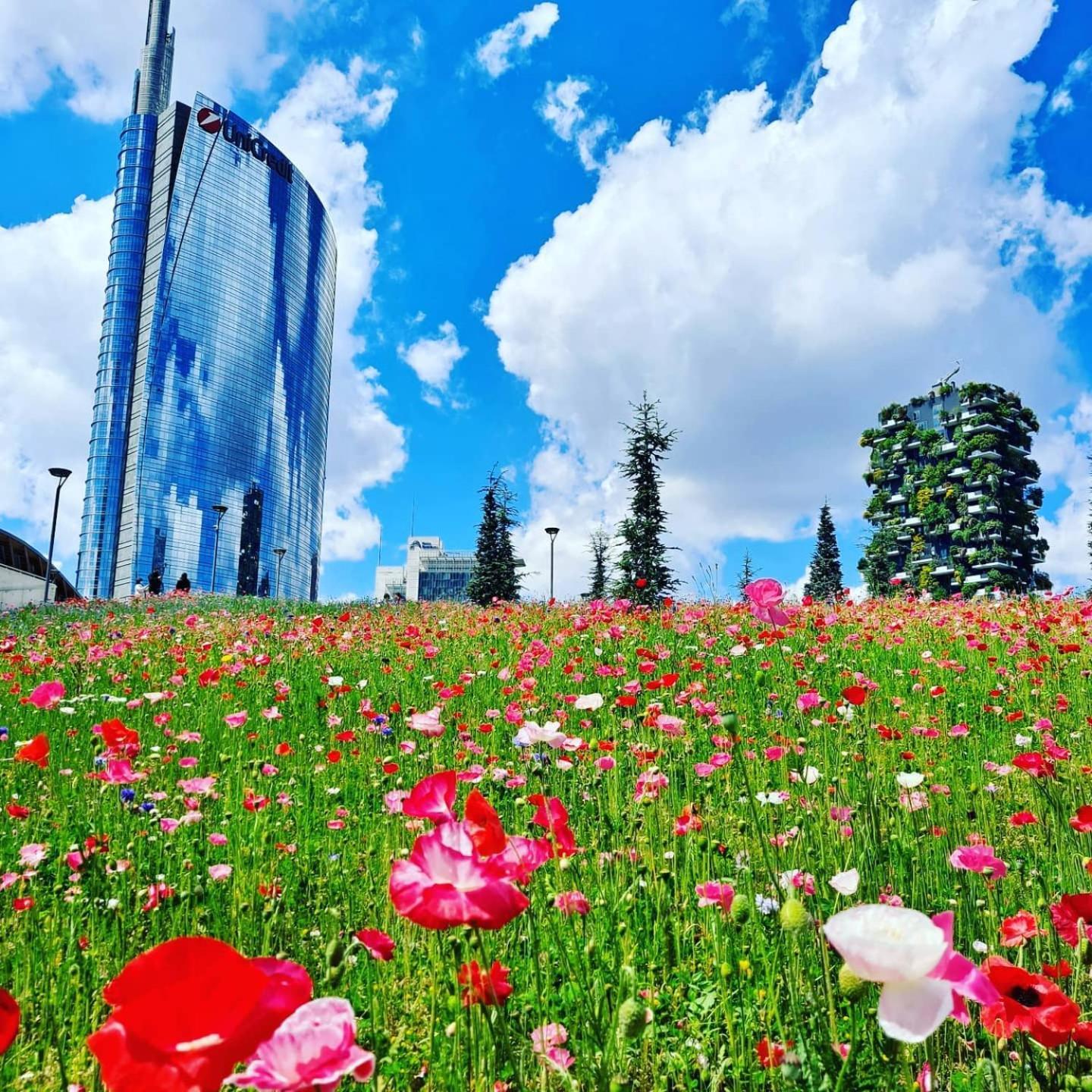 Apartment Ourjoy Condo, Free Parking, Ac, Wifi - M Gioia47, Station, Porta Nuova, *