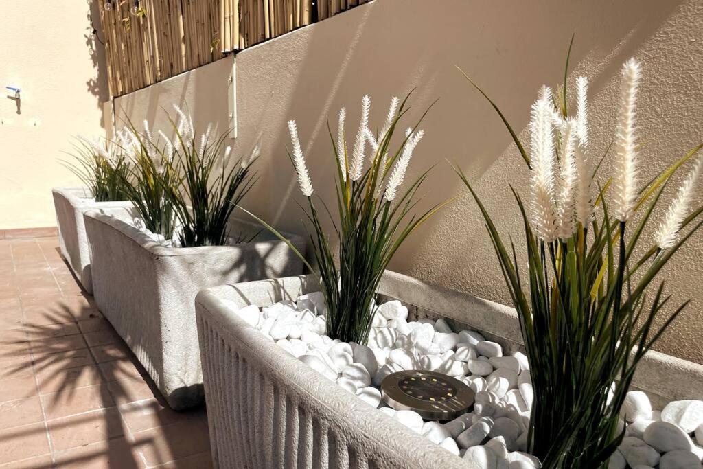 Amazing Flat With Terrace *