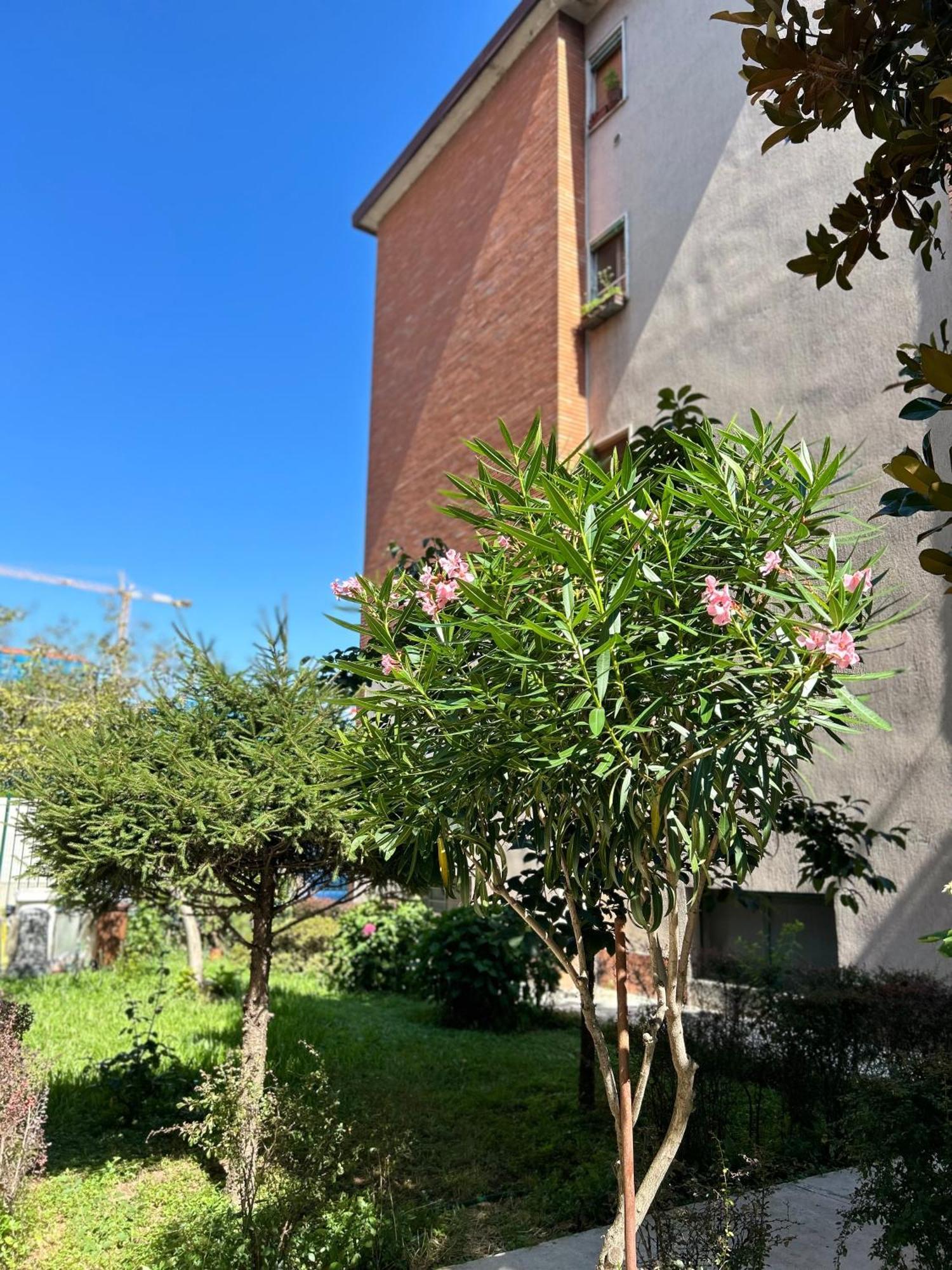 Apartment Soggiornare Sul Naviglio Mailand