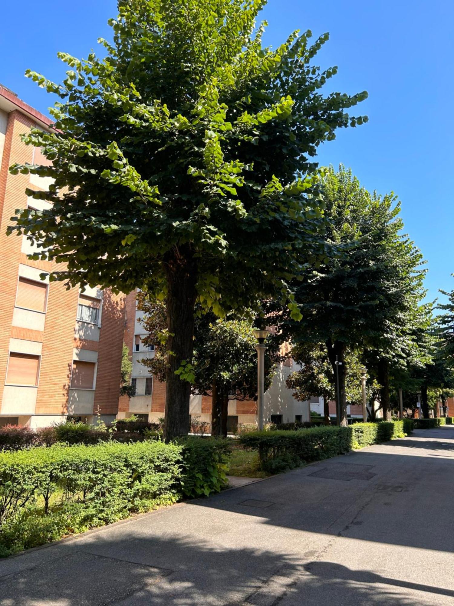 Soggiornare Sul Naviglio *