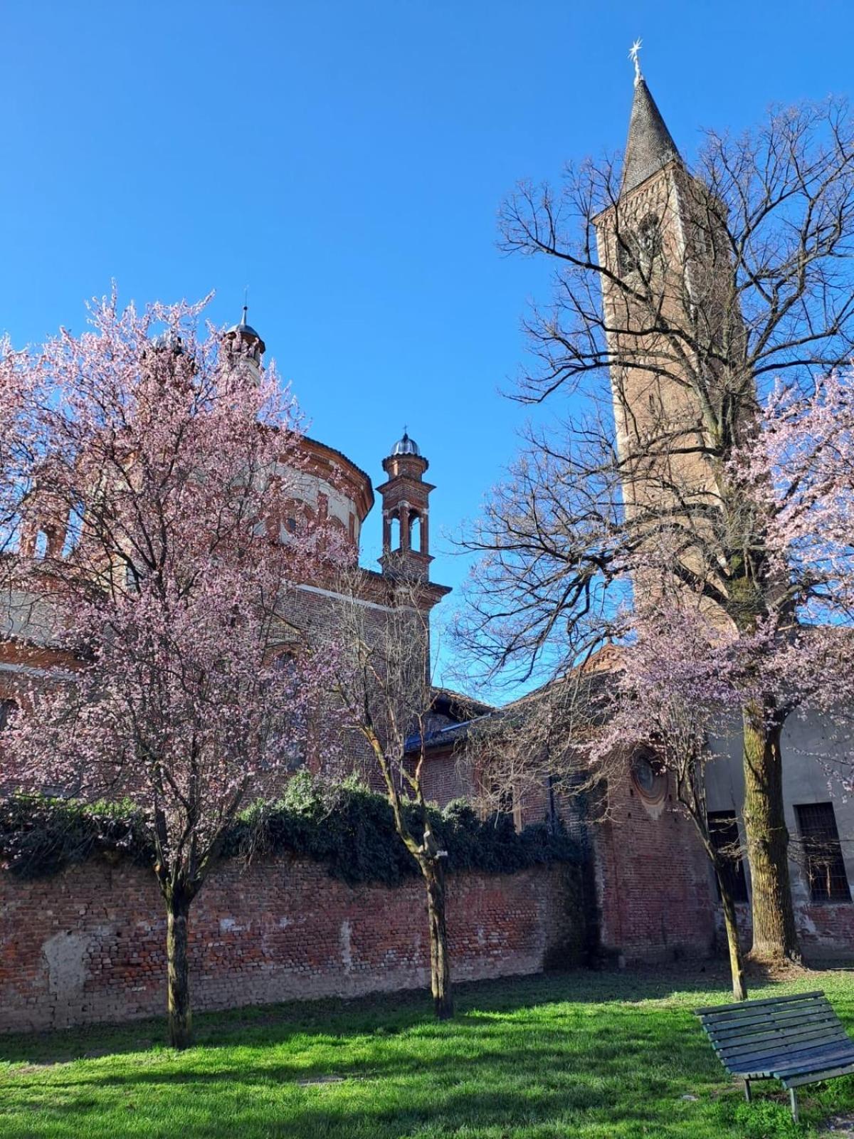 Apartamento Vetra-parco Delle Basiliche 2 Pax- Wifi- Banfi