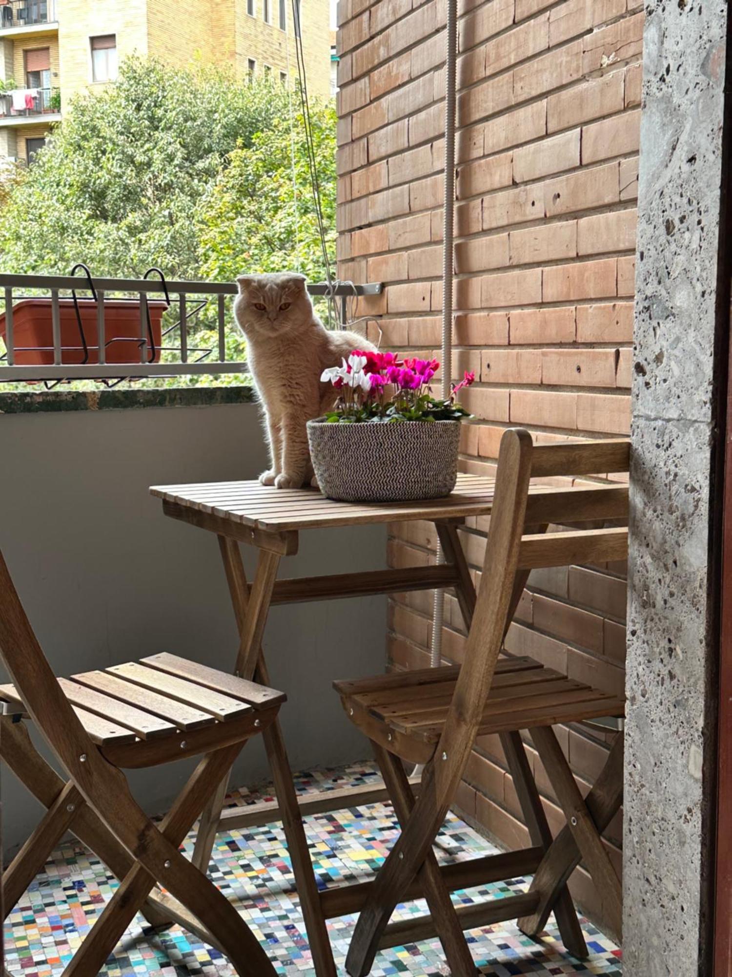 Kittens House Guest house Milan