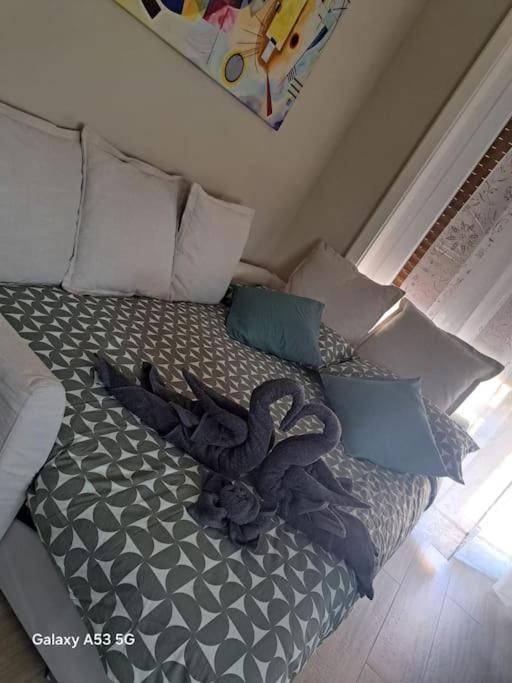 Cozy Mm Uruguay *