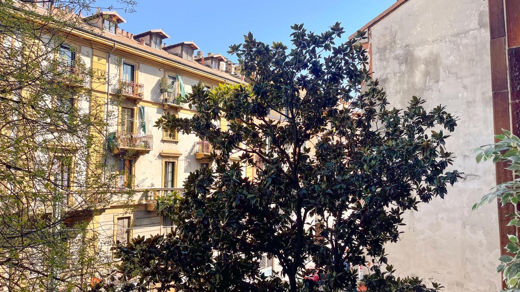 Oasis In The Center Of * Milão