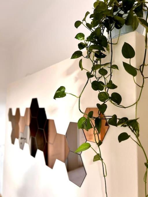 Elegante In Centro Apartment