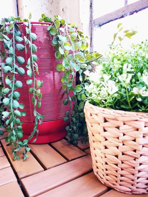 Apartment Sunny Flat 50 Meters From The Metro Mailand