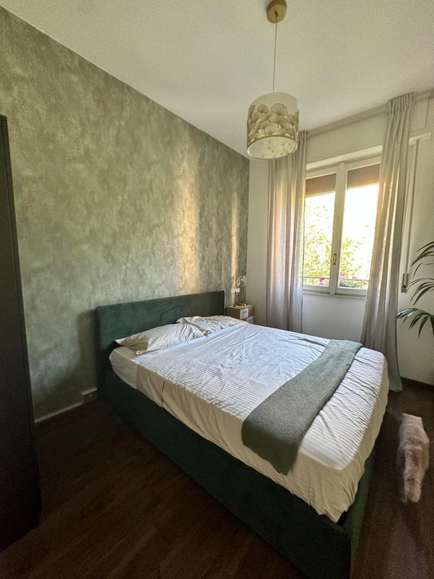 Kittens House Milan