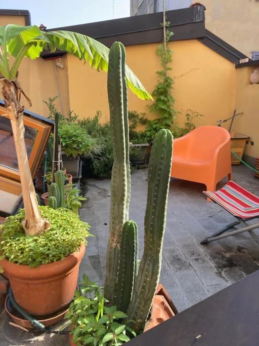 Totem Loft Villa