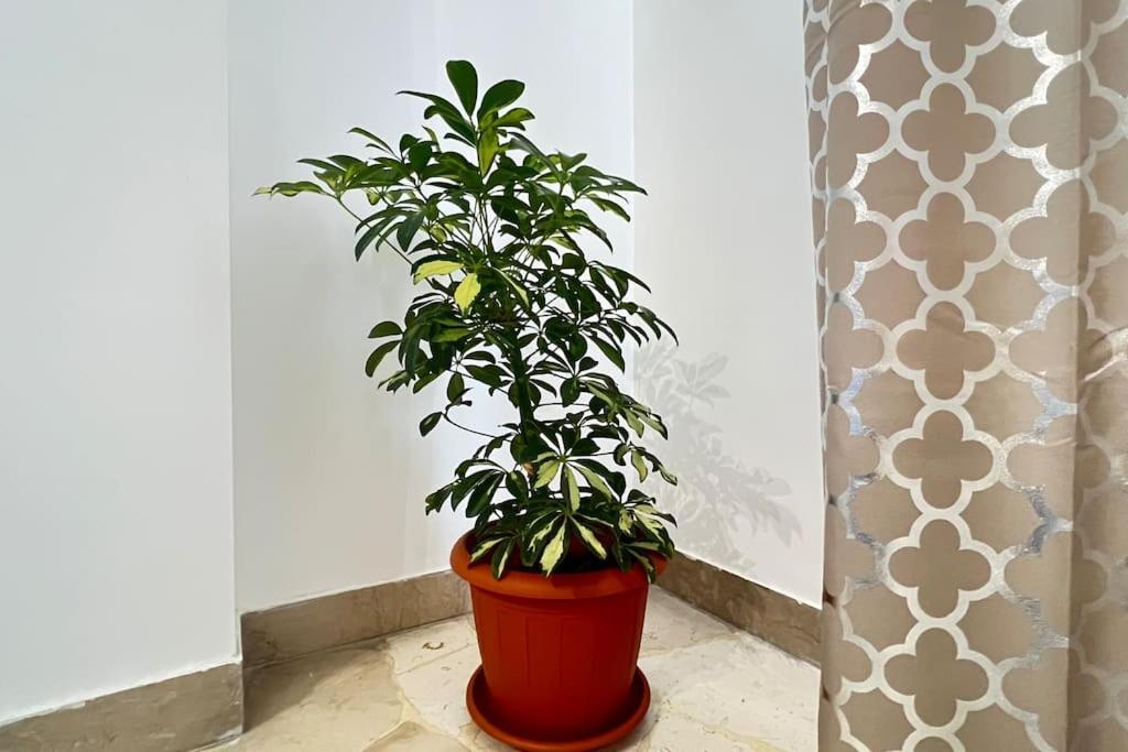 Apartment New And Elegant On The Navigli Netflix E