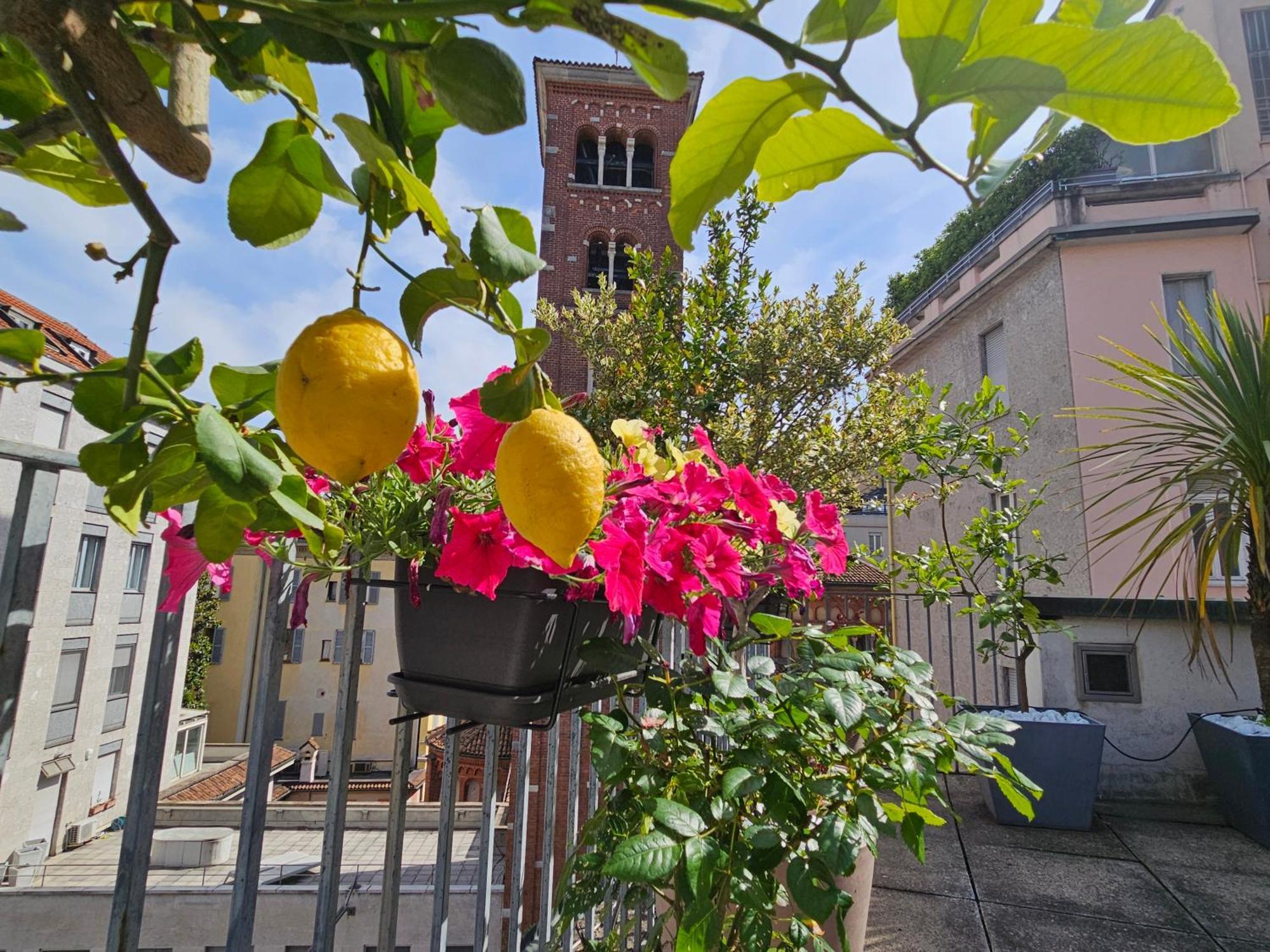 Exclusive Top Floor 2-bedroom Flat Mailand