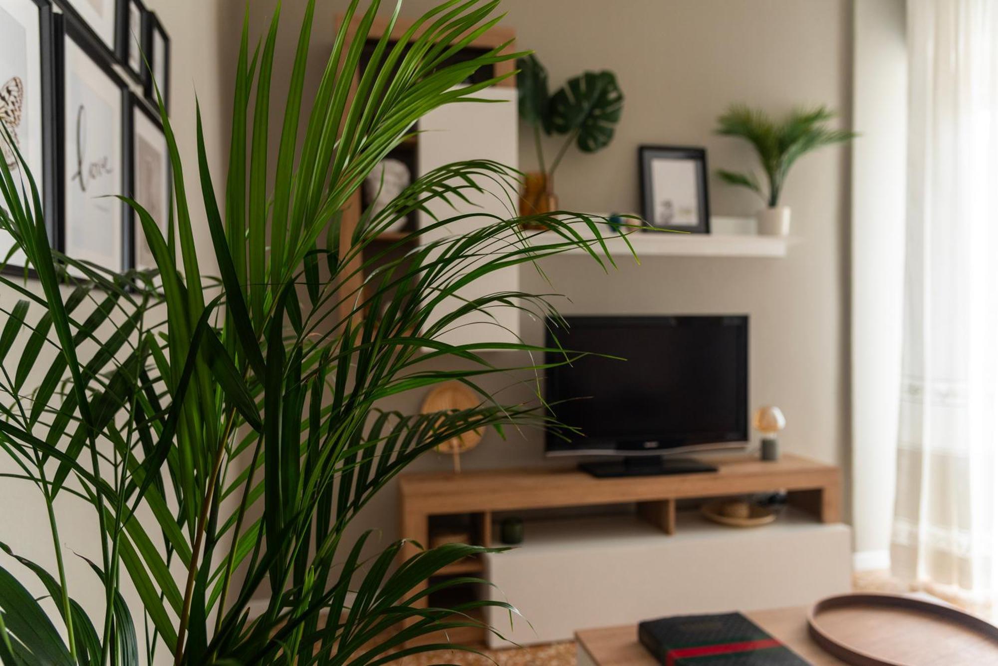 Vallazze 91 Apartamento *