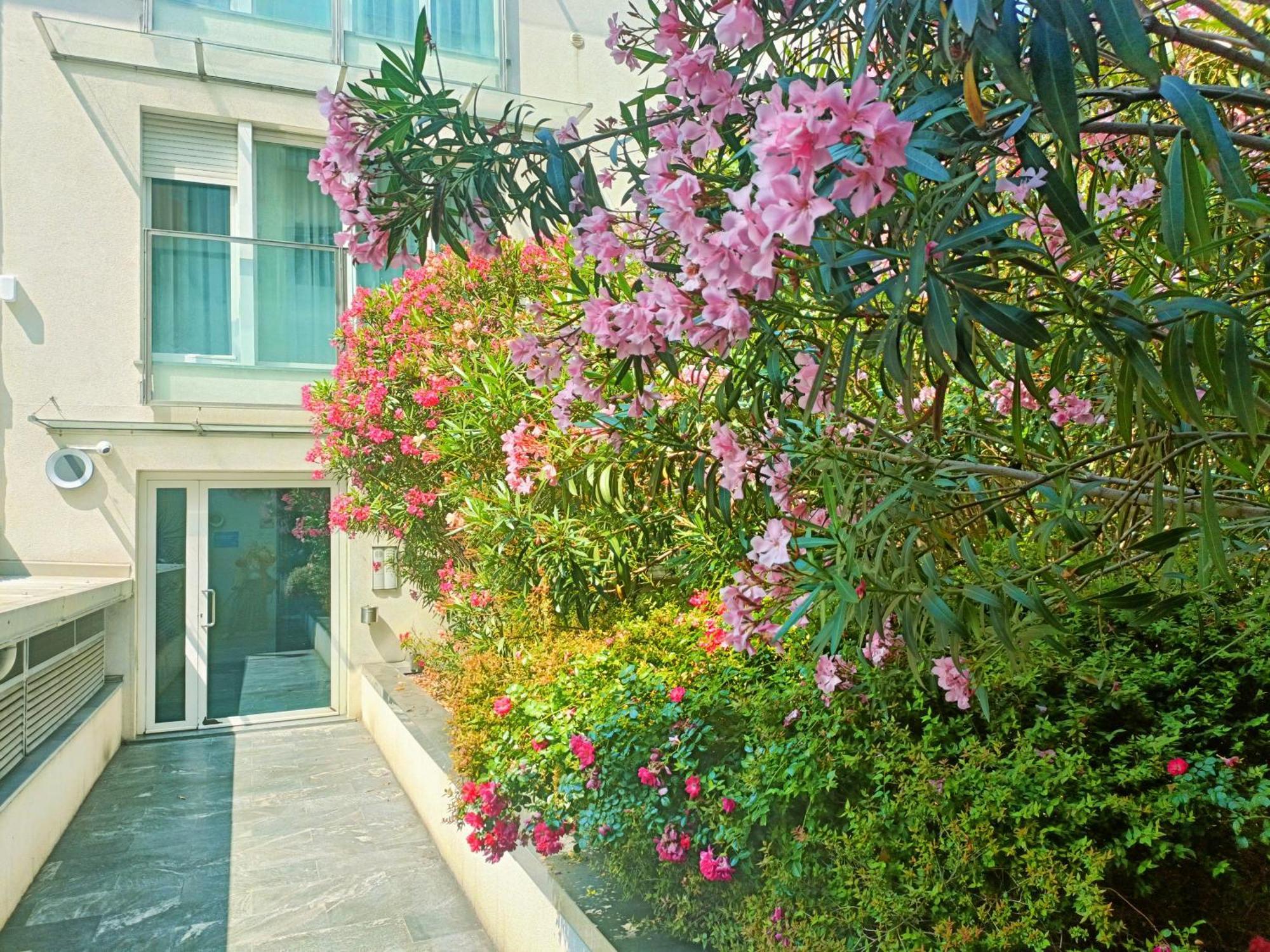 Apartamento Vela Centro Con Garage *