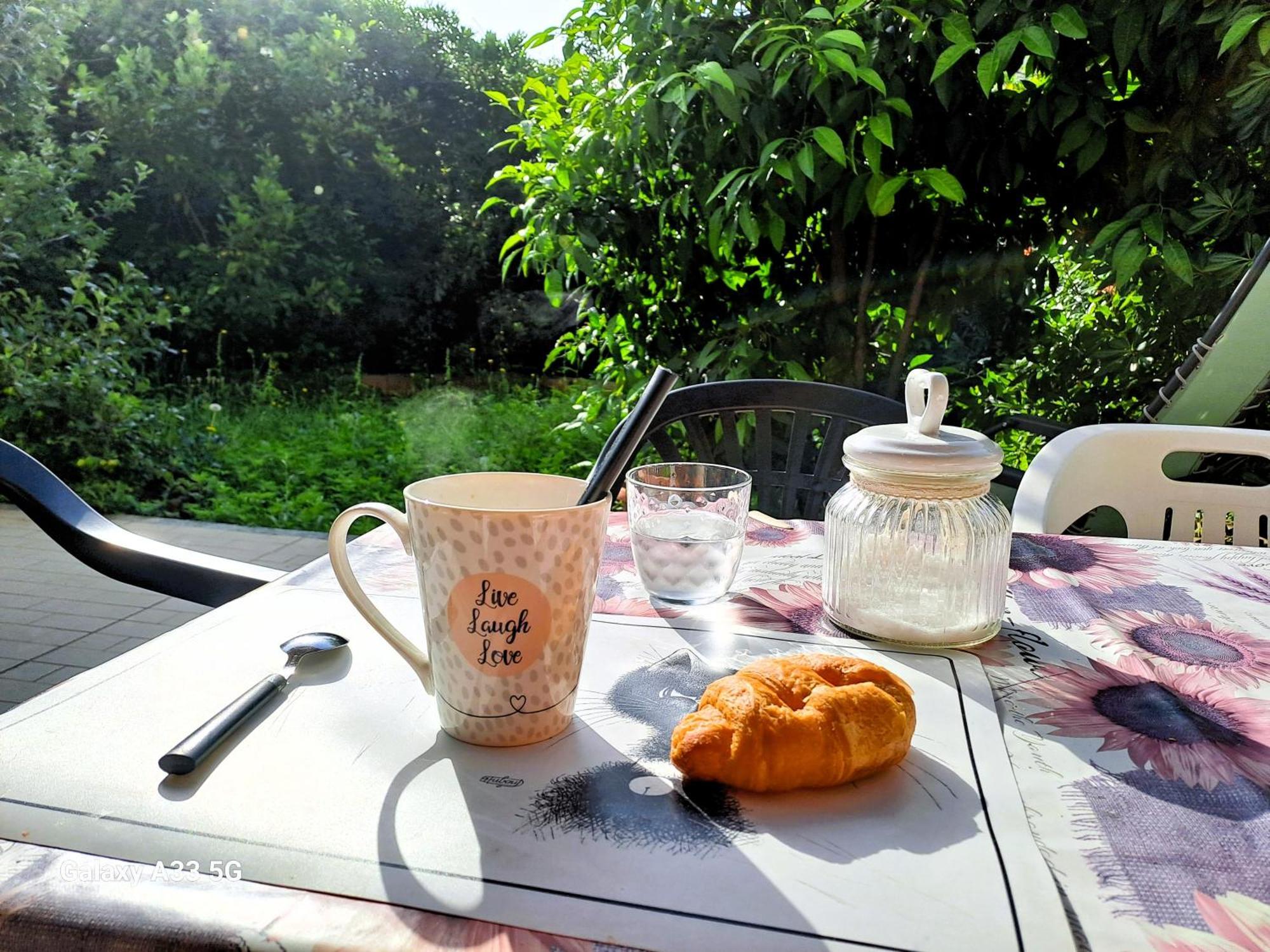 Il Giardino Dell'artista Stylish A
