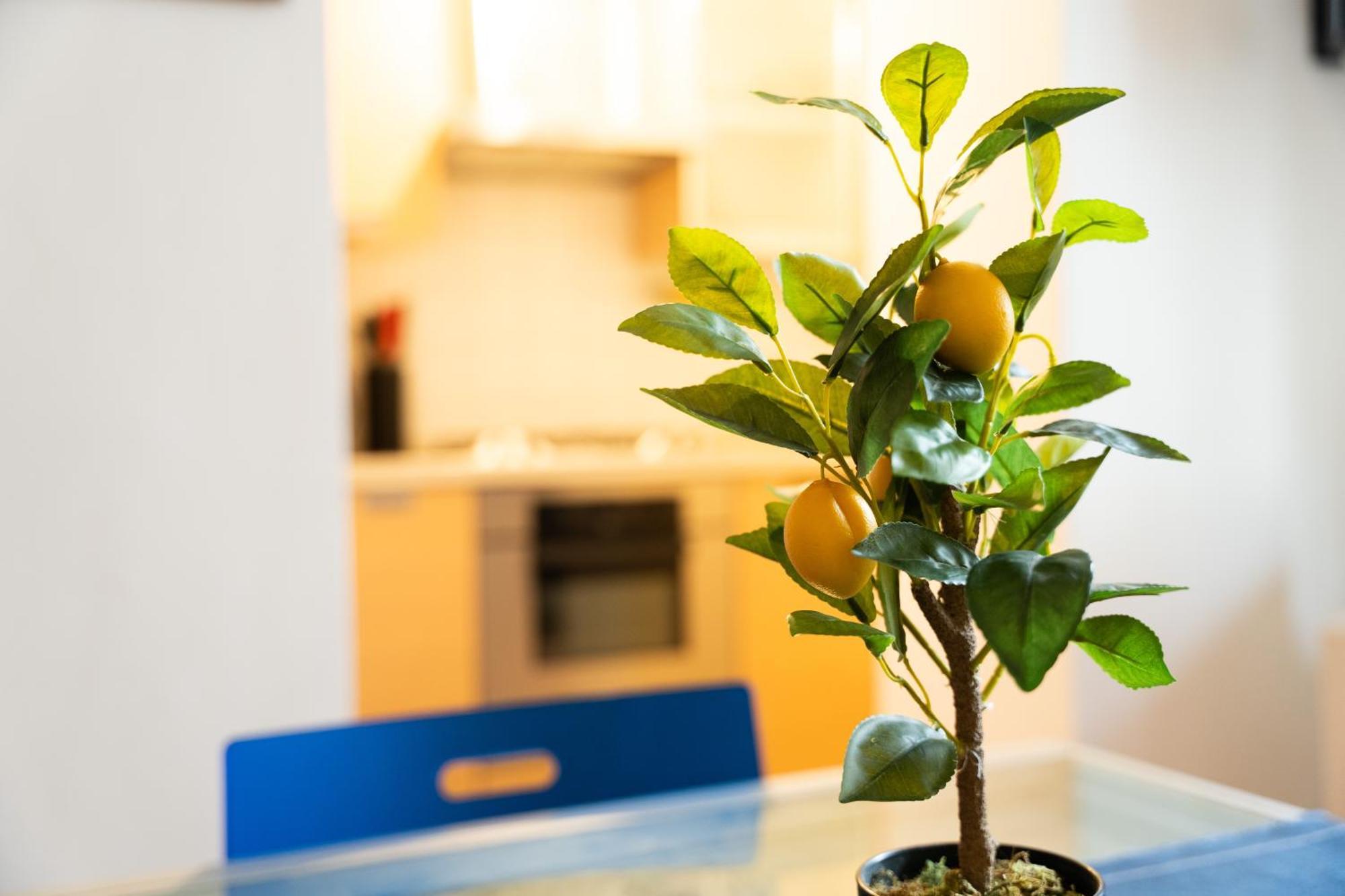 Quiet Flat In Pta Venezia Apartment Milan