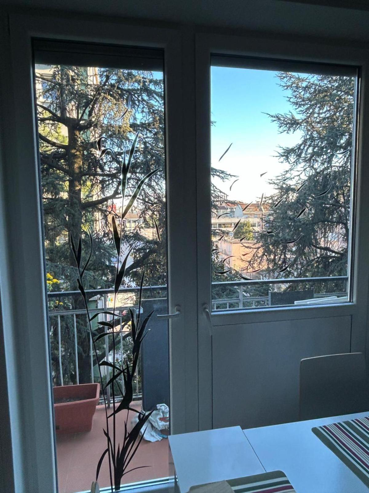 Your Place In Apartment