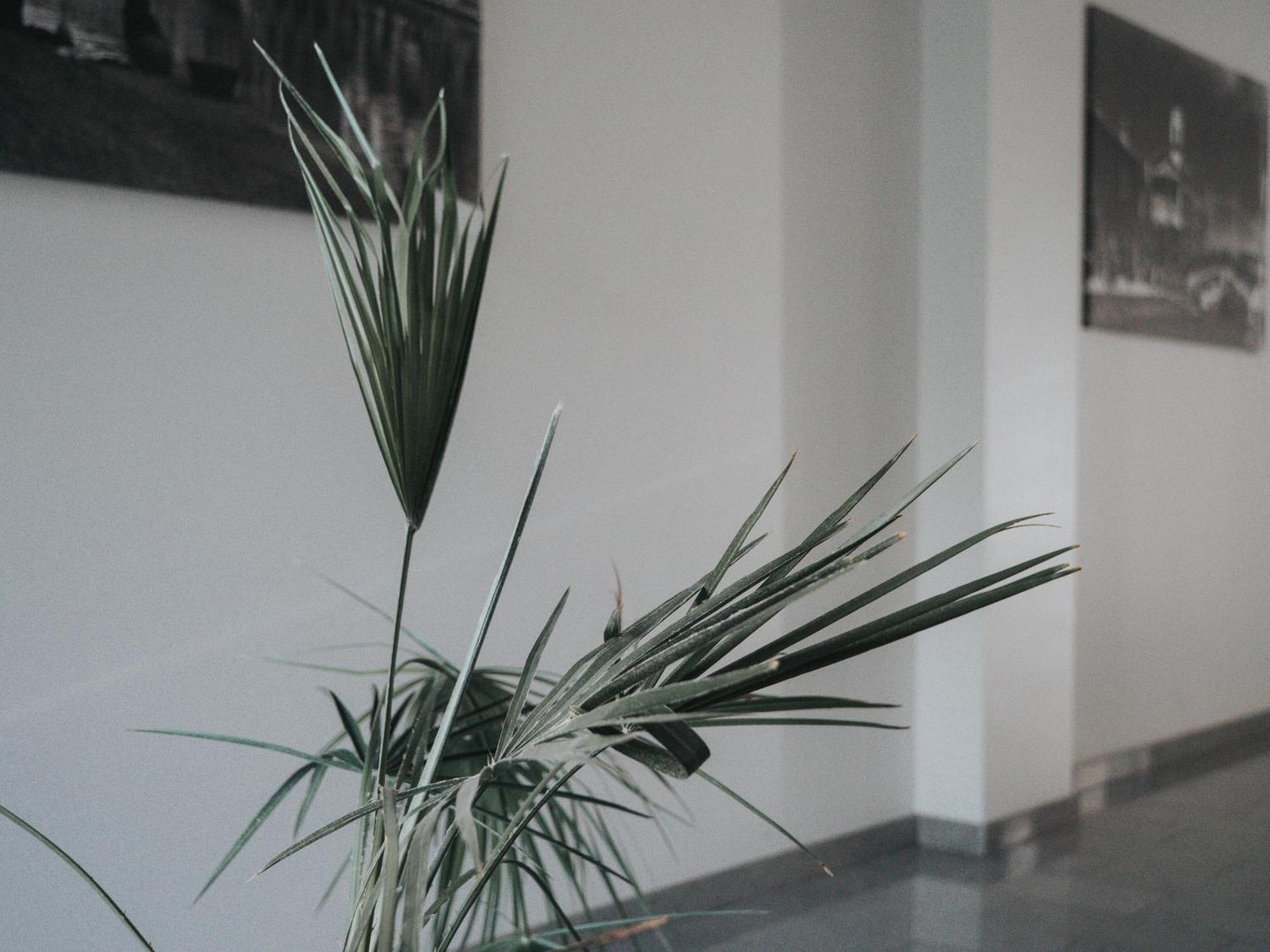 Tolstoi Apartment Milan