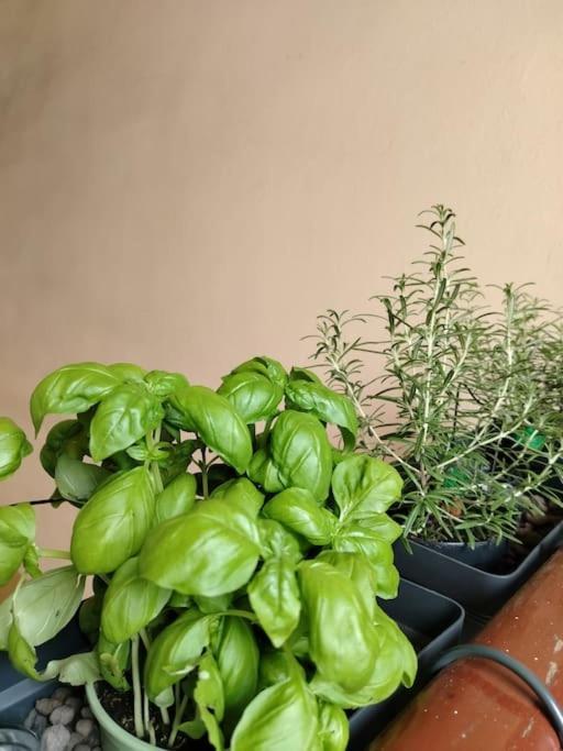 Apartamento Citylifers