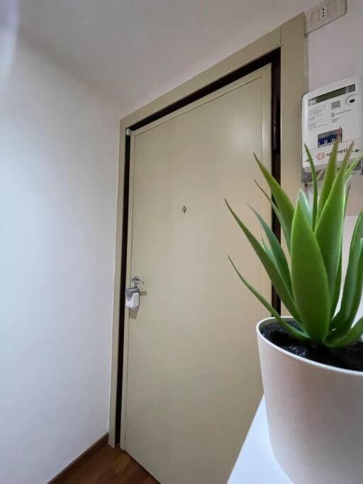 Trebbia Tavrvs Real Estate Apartment Mailand