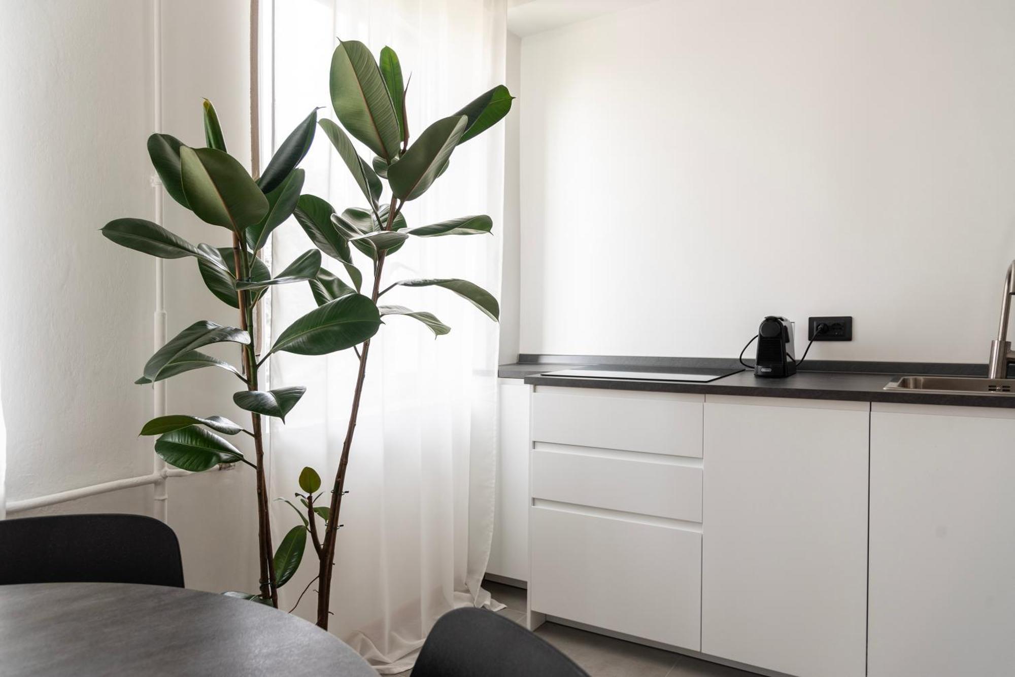 Youhosty- Terragni 31 Apartment Mailand