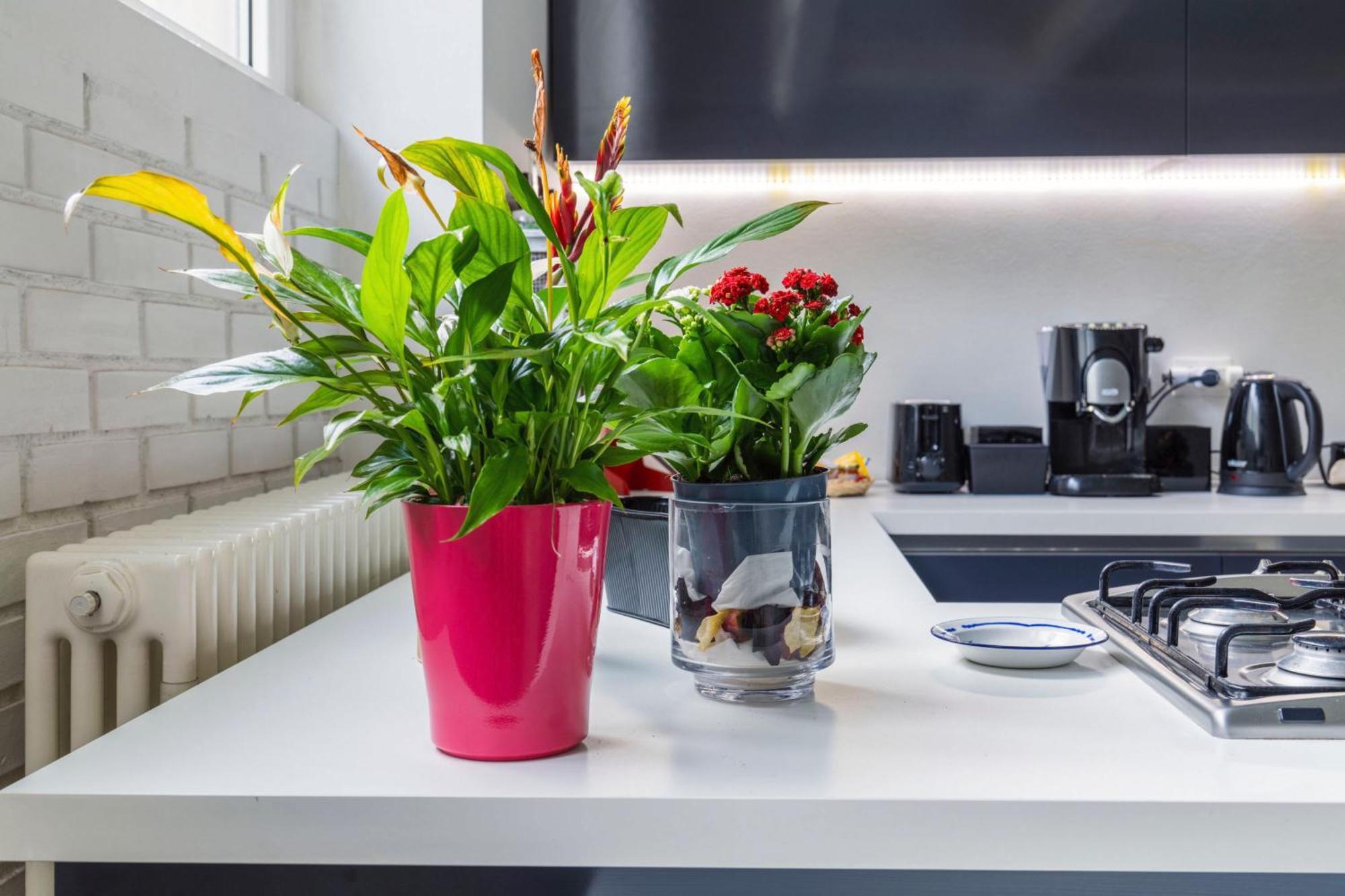 Ferienhaus Glass Loft Mailand