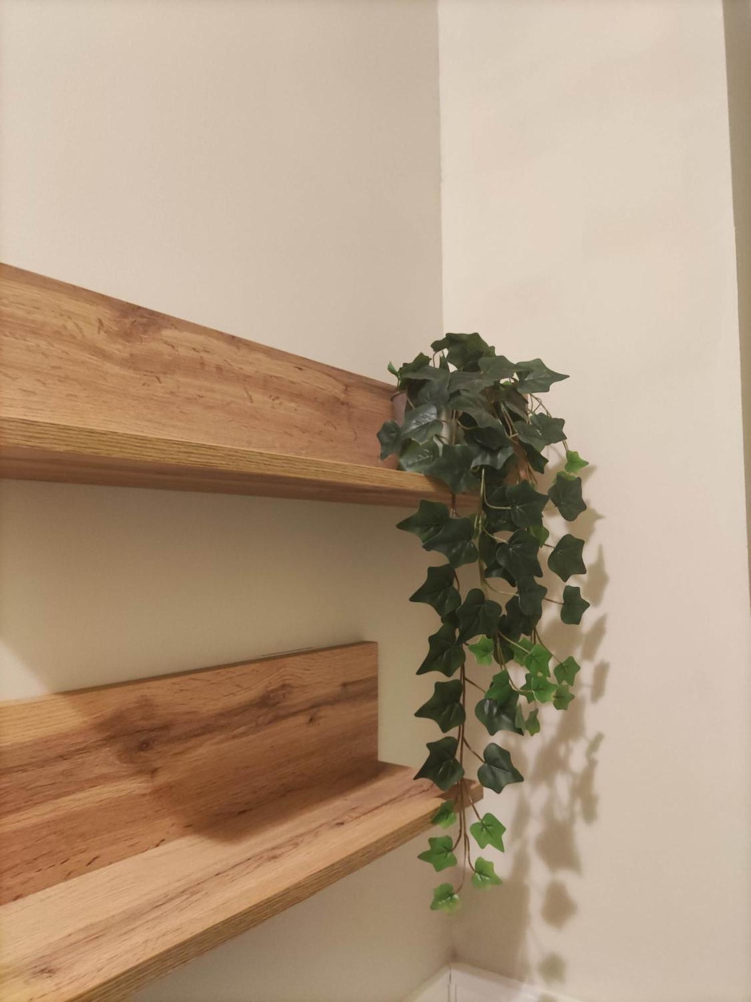 La Casa Di Antonia Apartment *