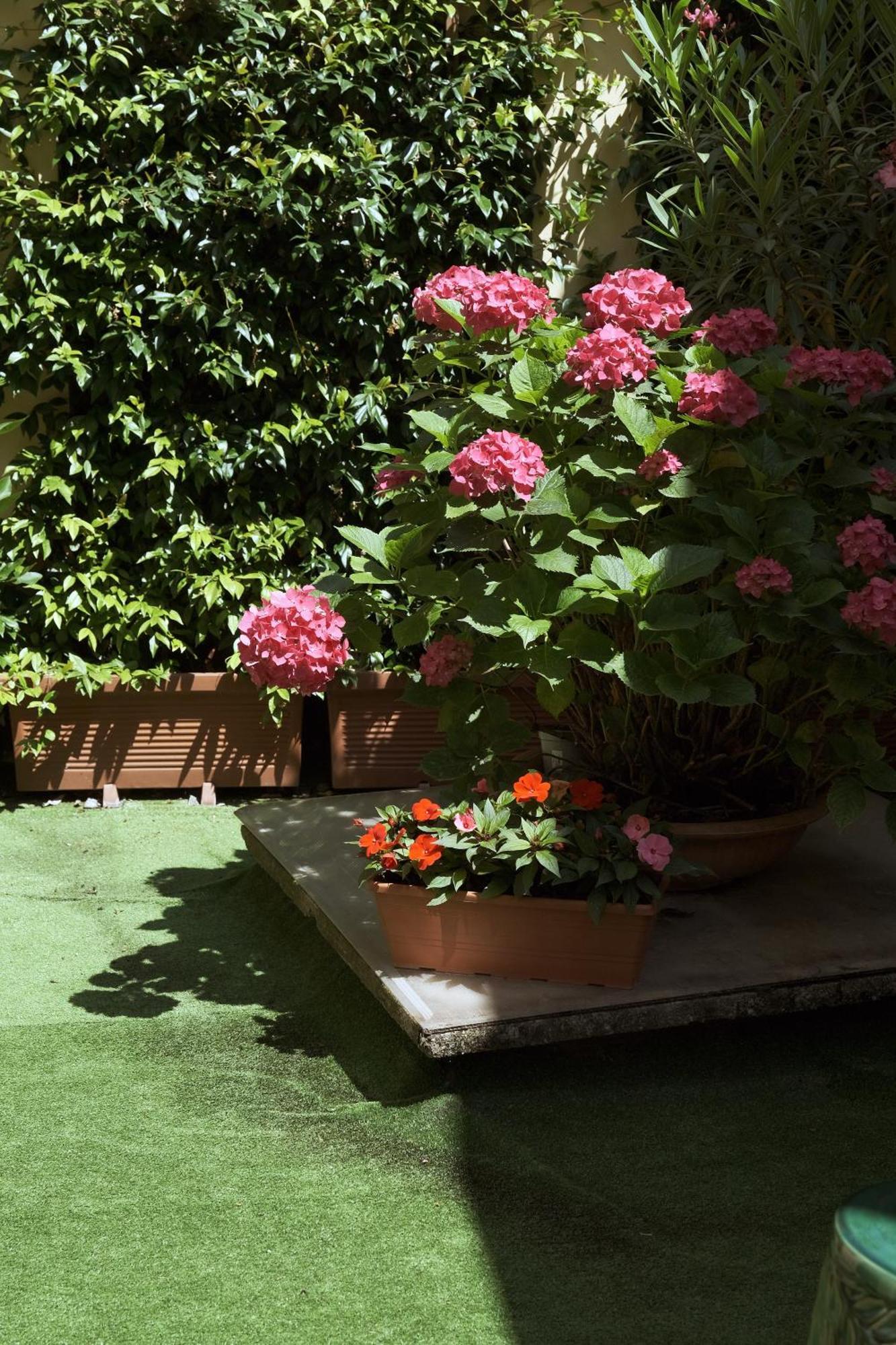 Comecasa Flowery Terraced Apartment *