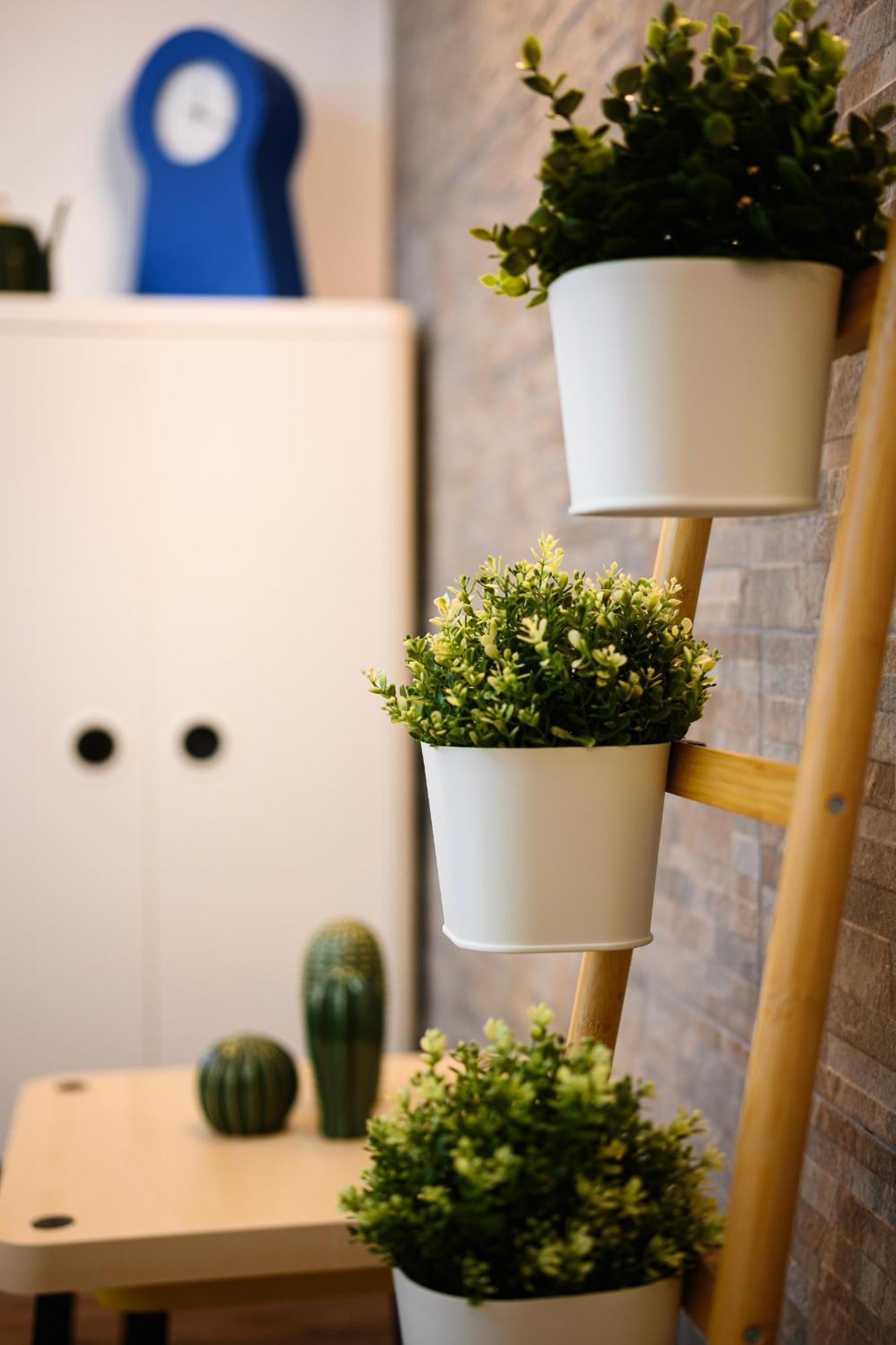 Apartment Sebino 15 - Monolocale Cool