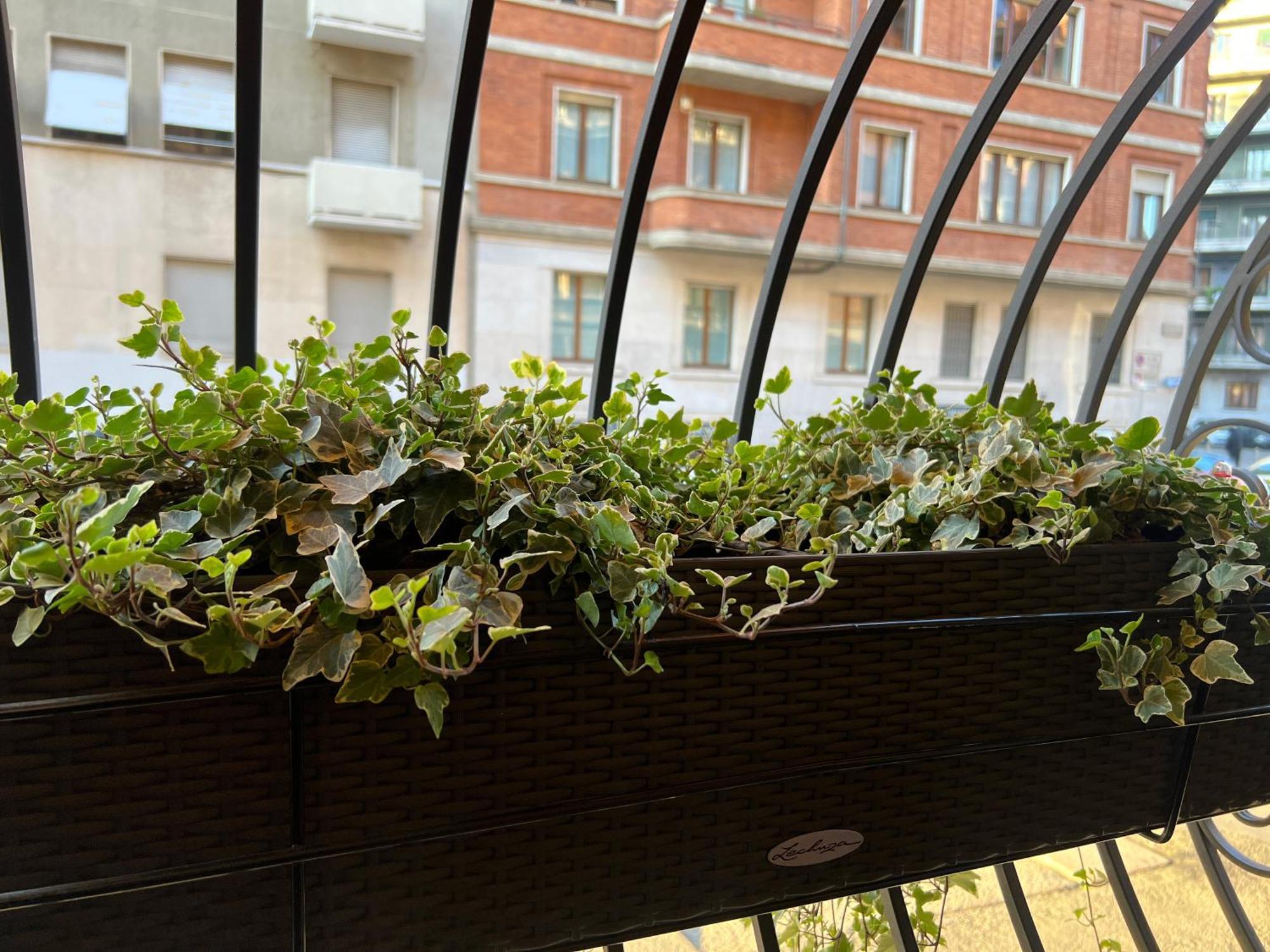 Mercadante Apartment *