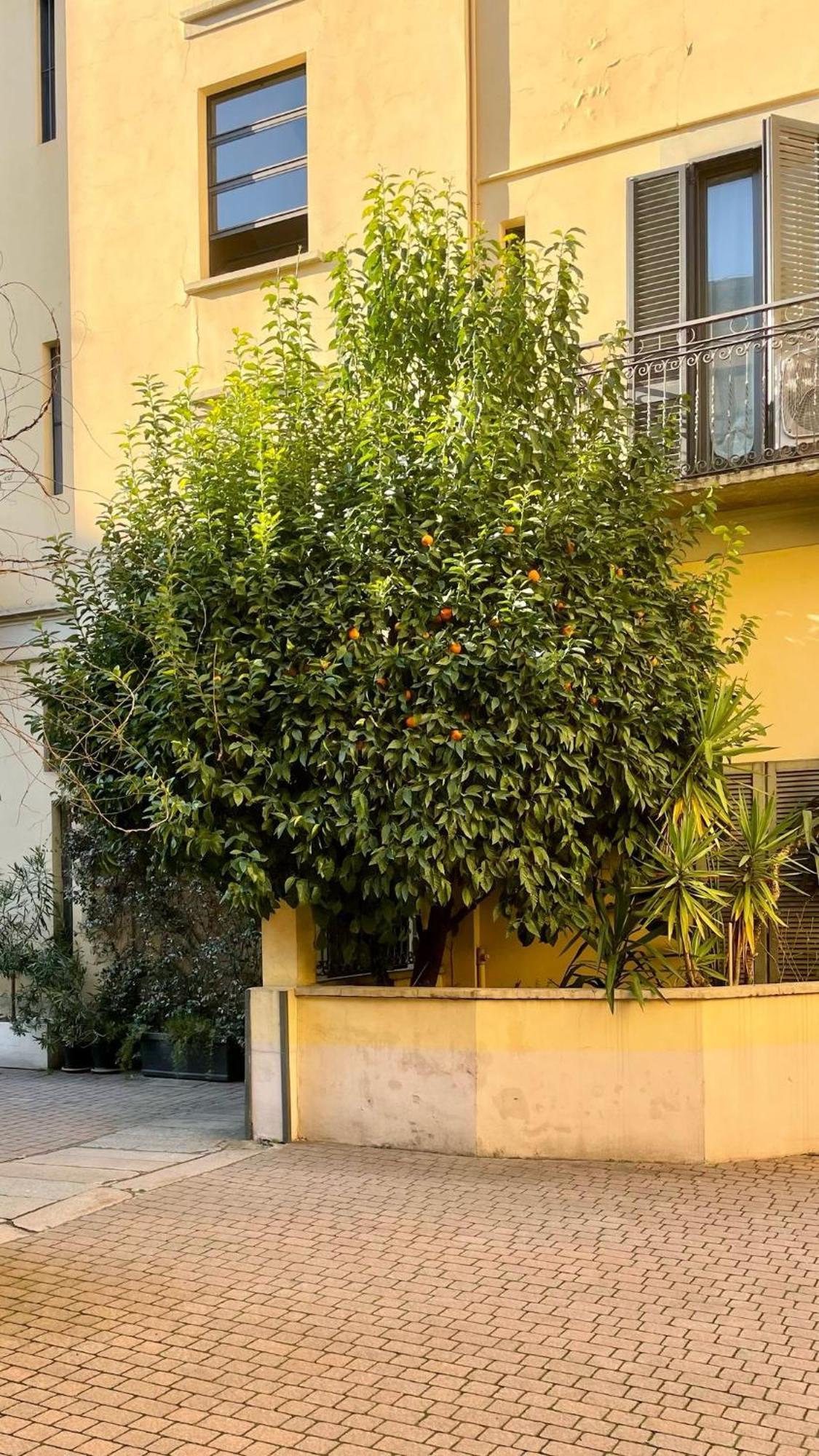 Apartamento Beco Porta Venezia Luxury Loft *