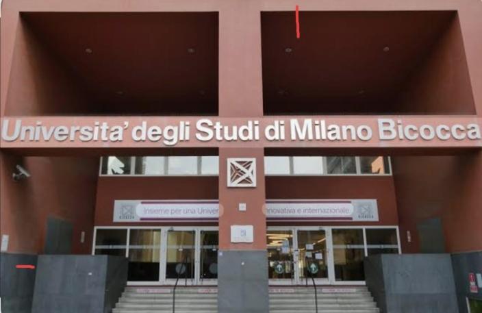 Apartamento Bellissimo Bilocale Con Terrazzo *