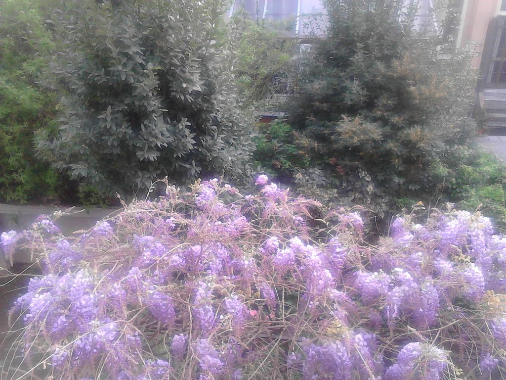 La Villetta 3* Mailand