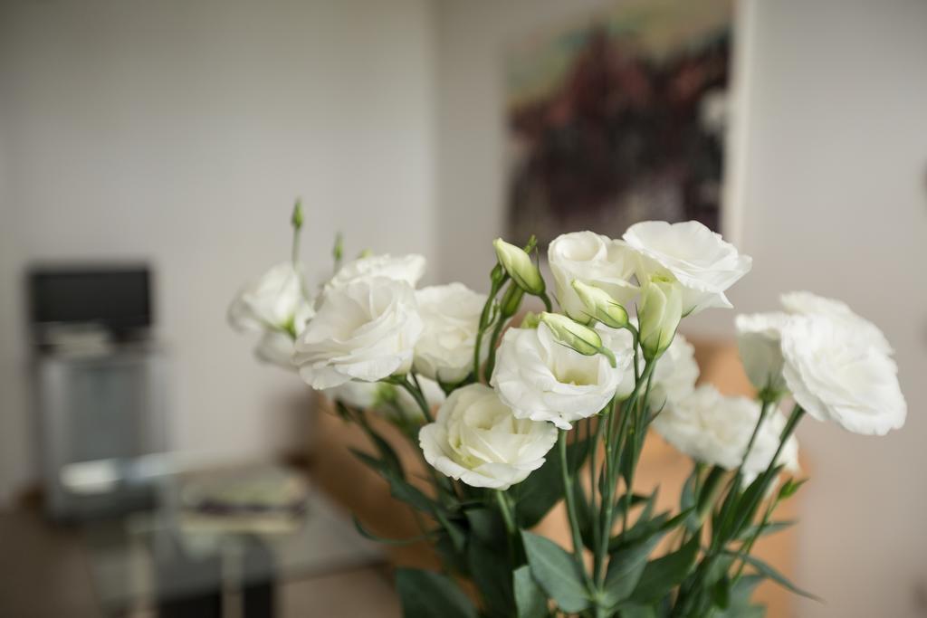 Apartamento Nino Milão