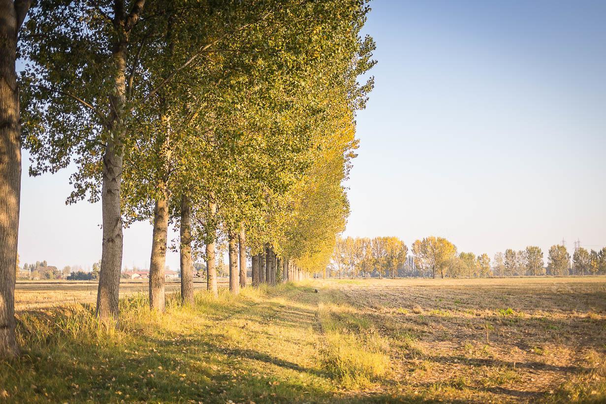 Cascina Gaggioli *